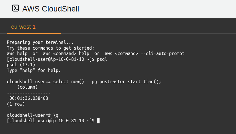 Postgres running on AWS CloudShell